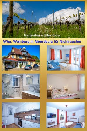 Bild 1: Ferienhaus Stremlow Whg. Weinberg in Meersburg für Nichtraucher