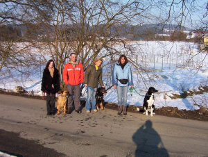 Bild 7: Landhaus Bodensee in Panormasichtlage Hunde willkommen, Wohnung 1