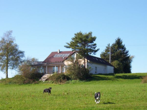 Bild 1: Landhaus Bodensee in Panormasichtlage Hunde willkommen, Wohnung 1