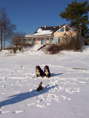 Bild 8: Landhaus Bodensee in Panormasichtlage Hunde sind herzlich willkommen. WOHNUNG 3