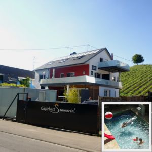 Südansicht - Bild 1: Gästehaus Sommertal in Meersburg am Bodensee