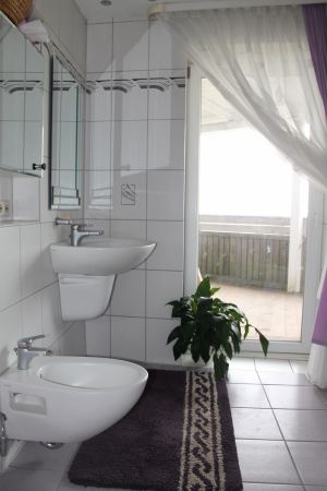 Das Badezimmer hat ein Waschbecken, ein Bidet, eine grosse Dusche, eine Badewanne und eine grosse Sauna. - Bild 10: Landhaus Bodensee: die Gartenwohnung mit 75qm