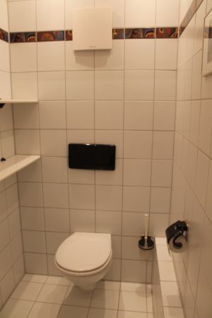 Separates WC mit Waschbecken - Bild 11: Landhaus Bodensee: die Gartenwohnung mit 75qm