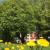 Galeriebild 4