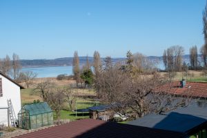 Blick Balkon Bild 13: Bodensee / Halbinsel Höri / Ferienwohnung Rosa 2.0