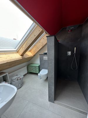 Toilette,Waschbecken,Dusche mit Raindance - Bild 3: Ferienwohnung Renz Halbinsel Höri, Gaienhofen - Horn am Bodensee