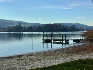 Am See Bild 24: Ruhige 2 Zi-Ferienwohnung (FeWo) in Öhningen direkt am Bodensee