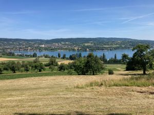 Blick auf Öhningen (CH) Bild 29: Ruhige 2 Zi-Ferienwohnung (FeWo) in Öhningen direkt am Bodensee
