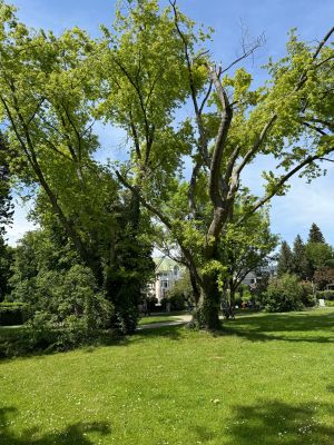 Mettnaupark Bild 14: Ferienwohnung Seeblick Mettnau