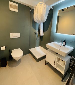 Innenliegendes Badezimmer mit Wc, Dusche und Waschbecken. - Bild 4: Modernes Apartment in Radolfzell am Bodensee