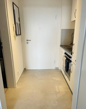 Eingangsbereich mit Küchenzeile. - Bild 6: Modernes Apartment in Radolfzell am Bodensee