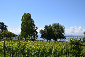 Bild: Ferienhof Mecking Bodensee Pension