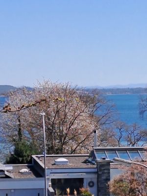 Vom Balkon und dem Essplatz, sowie der Couch im Wohnzimmer haben Sie einen schönen Blick auf den nahegelegenen Bodensee - Bild 1: Ferienwohnung "Seeblick-Konstanz" nur 300 Meter zum Bodenseestrand